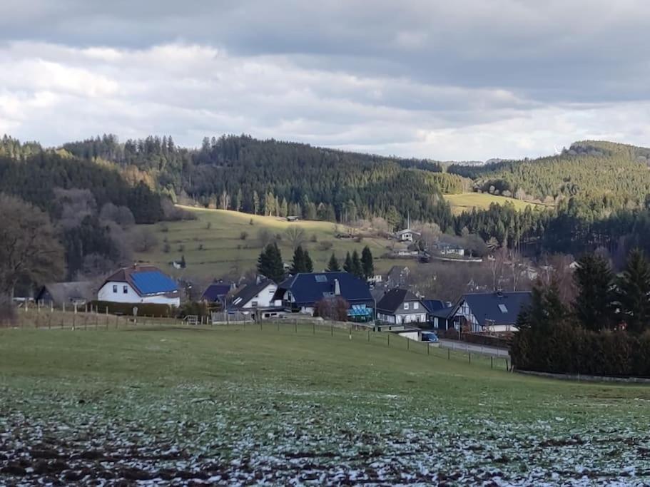 Holzhaus Chalet Nationalpark Eifel Hund Willkommen Хелентал Екстериор снимка