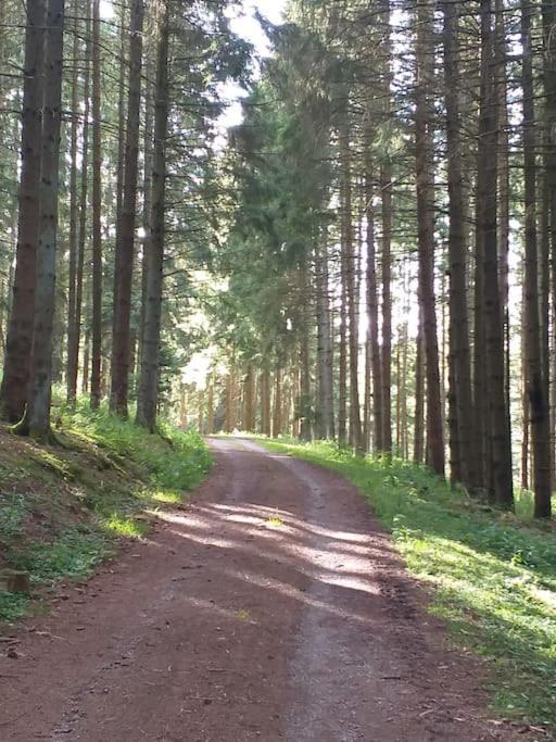 Holzhaus Chalet Nationalpark Eifel Hund Willkommen Хелентал Екстериор снимка