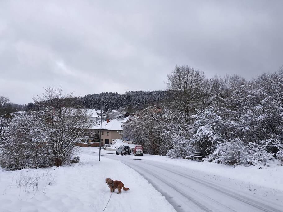 Holzhaus Chalet Nationalpark Eifel Hund Willkommen Хелентал Екстериор снимка